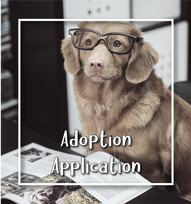 Headin Home Pet Rescue Adoption Application